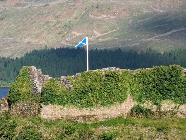 PXL_20240510_171141045