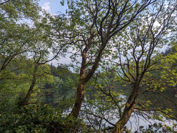 PXL_20240512_153052257