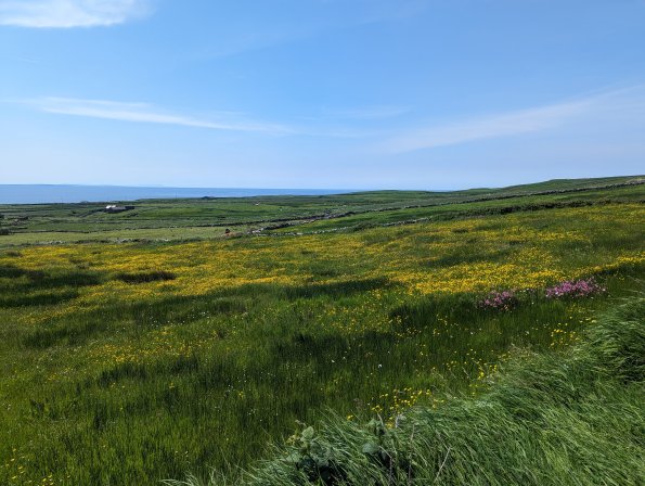 PXL_20240519_120806135