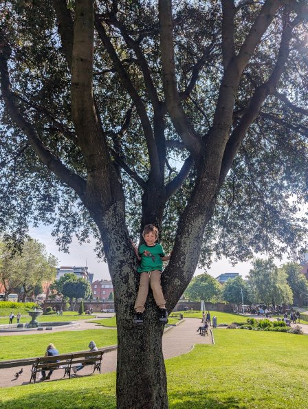 PXL_20240521_092708625